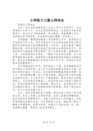 小网格大力量心得体会 