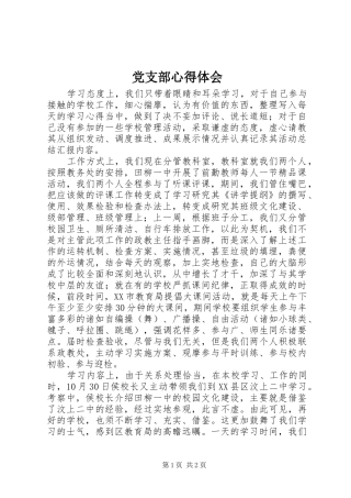 党支部心得体会 
