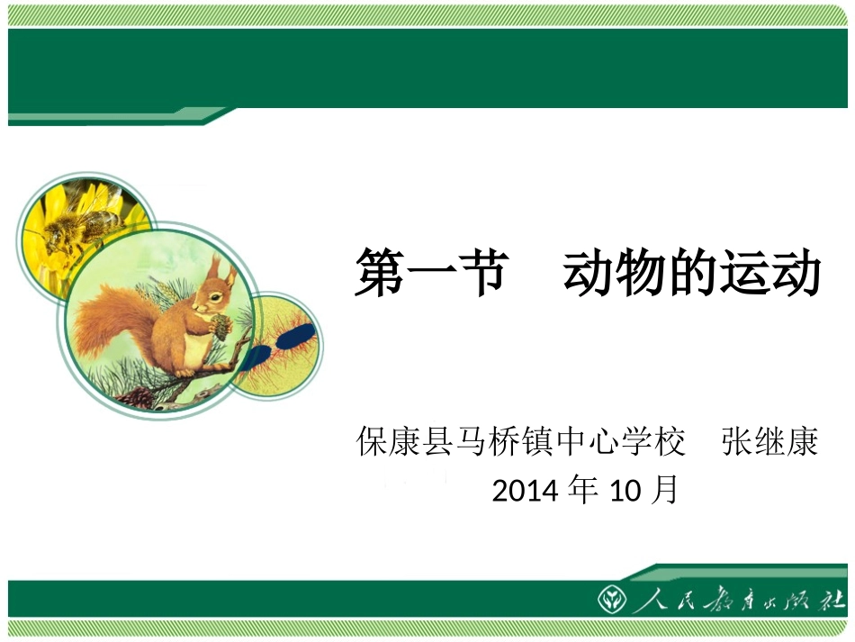 《动物的运动》教学课件_第1页