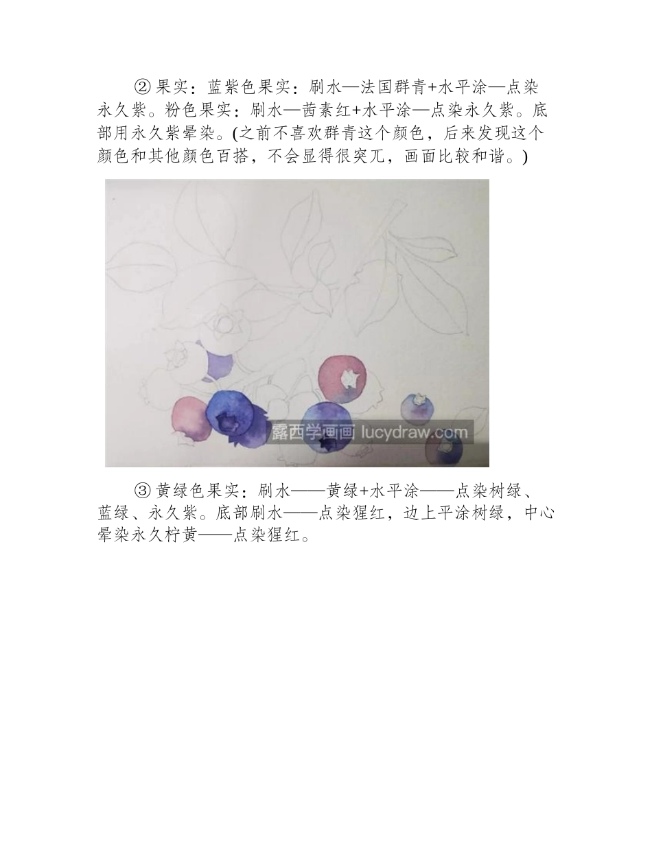 蓝莓怎么画_龙果的水彩画步骤有哪些_水彩画教程_第2页
