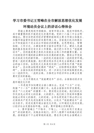 学习市委书记王雪峰在全市解放思想优化发展环境动员会议上的讲话心得体会 