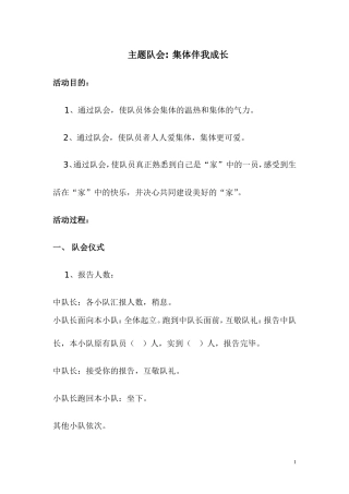 集体伴我成长（主题队会)