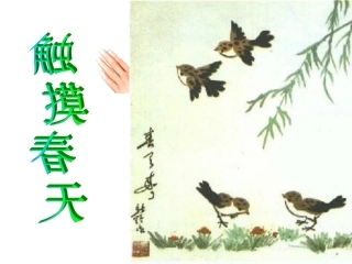 触摸春天 (4)