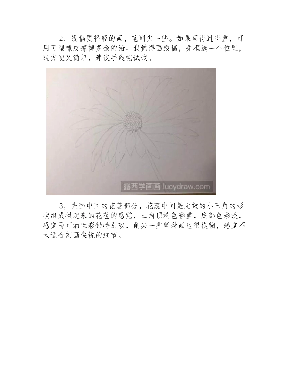 菊的画法彩铅画教程_第2页