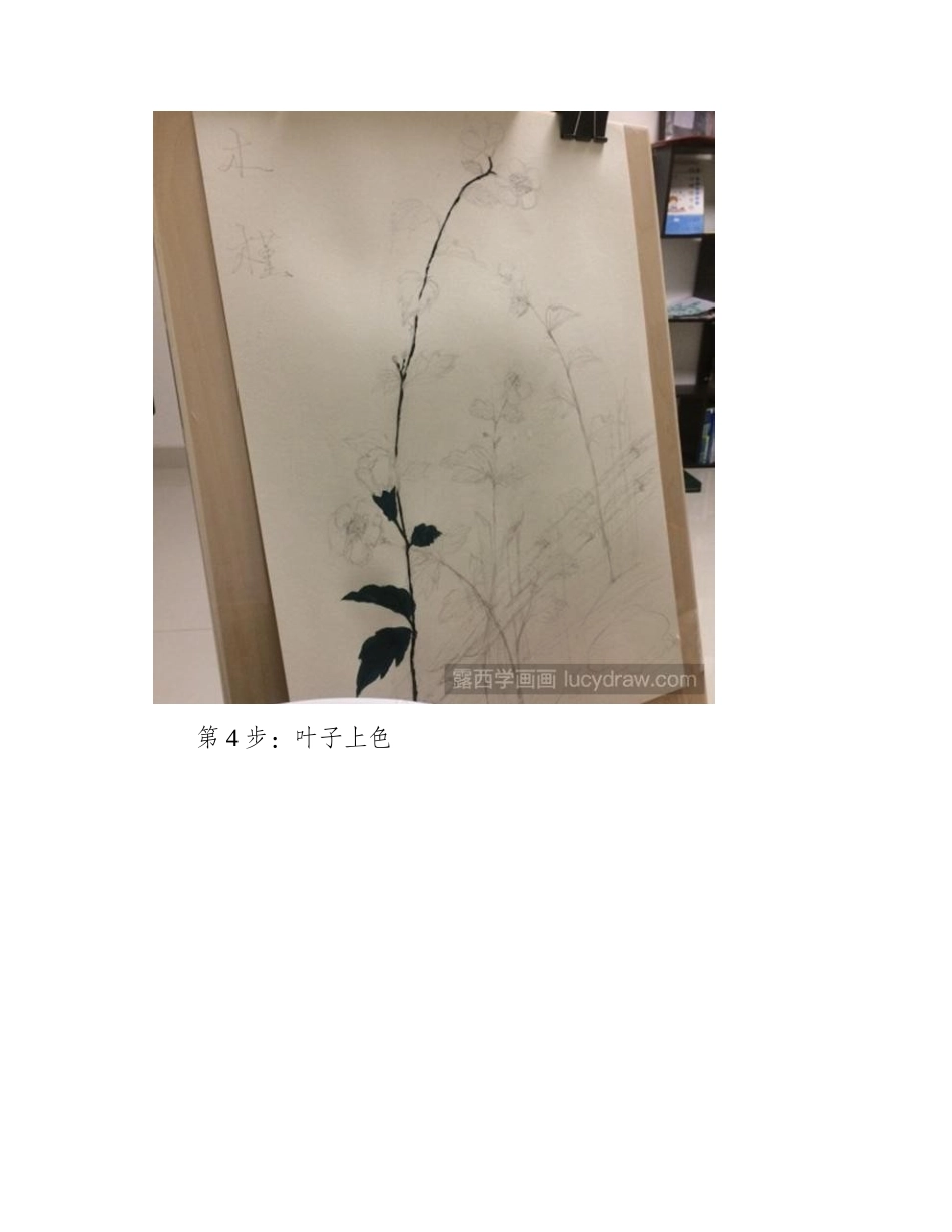 木槿花用水粉画怎么画_木槿花水粉画教程分享水粉画教程_第2页