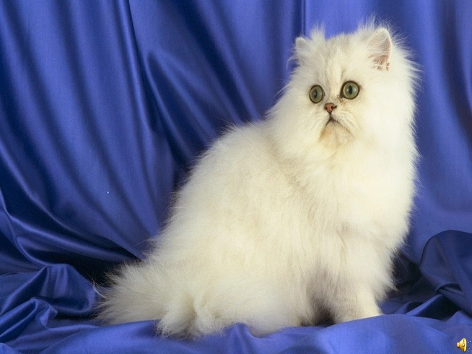 积的变化规律 (3)_第2页