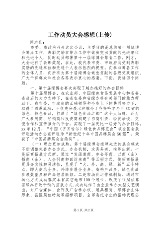 工作动员大会感想(上传) 
