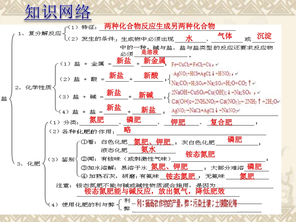 考点21盐的化学性质和化学肥料_第3页