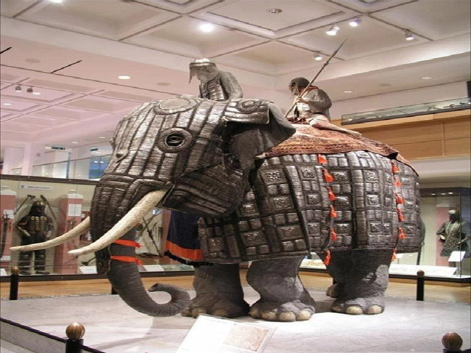 《最后一头战象》_第3页