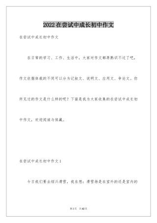 2024在尝试中成长初中作文_1