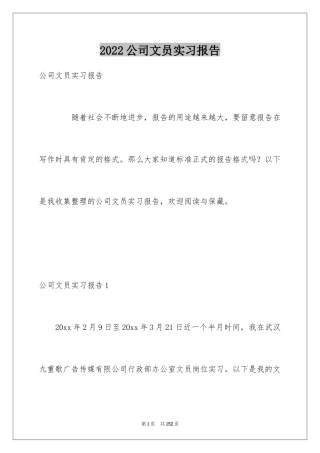 2024公司文员实习报告