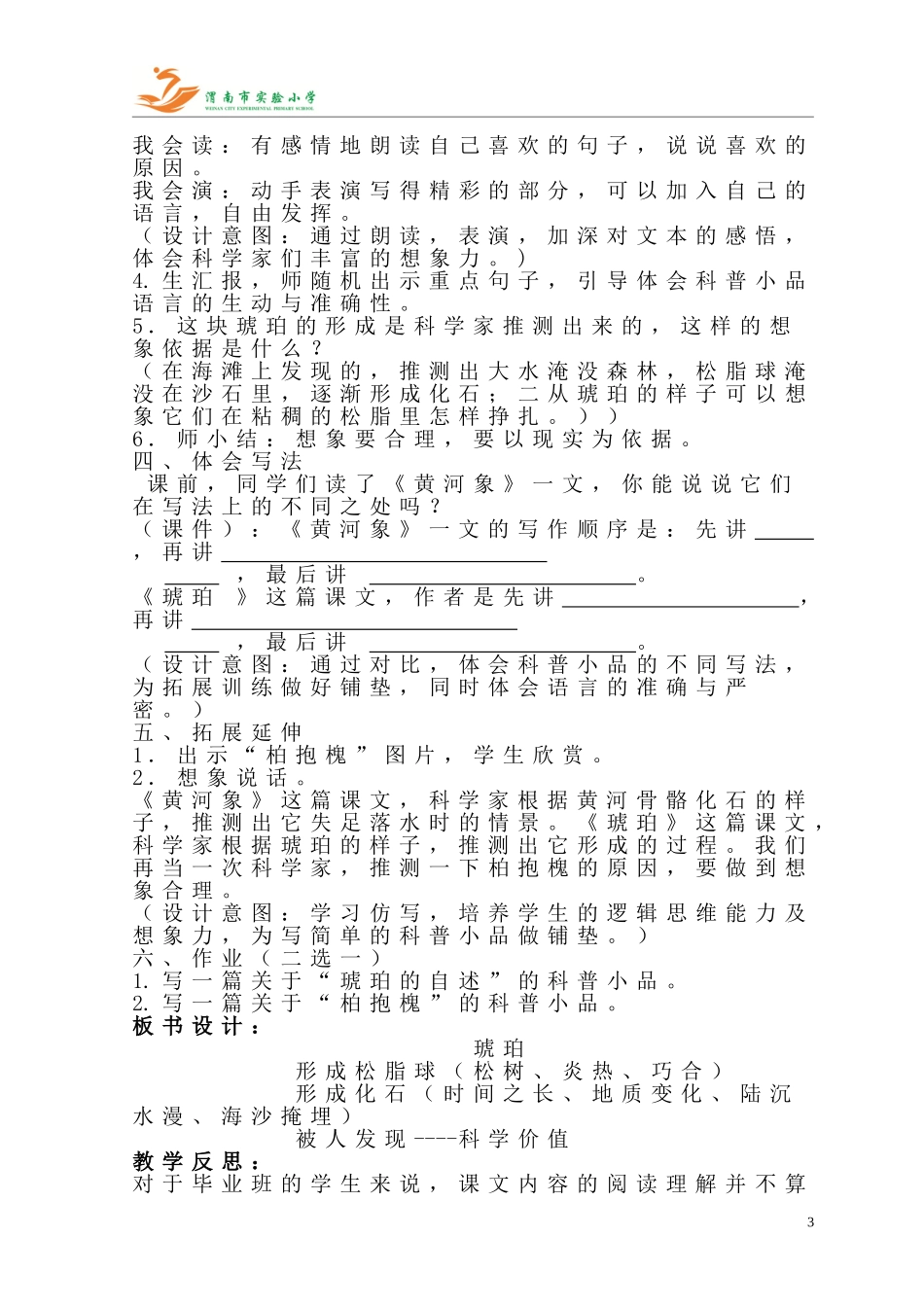 《琥珀》教学设计梁娅萍_第3页