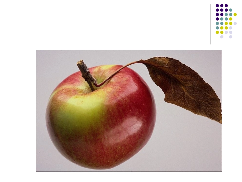 七上数学（13截一个几何体）_第3页