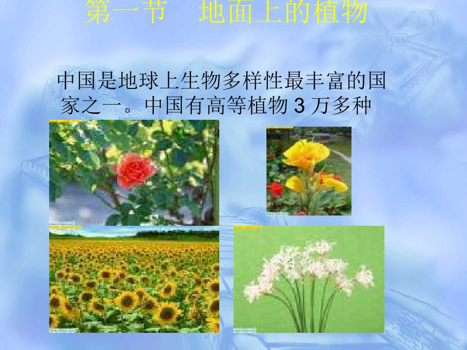 生物：91《地面上的植物》课件(苏科版七年级下)_第1页