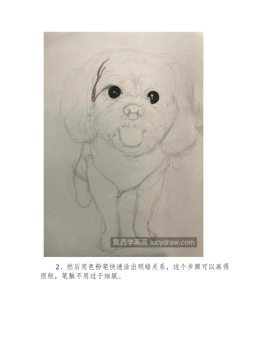 卷毛狗怎么画_贵宾犬色粉画步骤有几步_色粉画教程_第2页