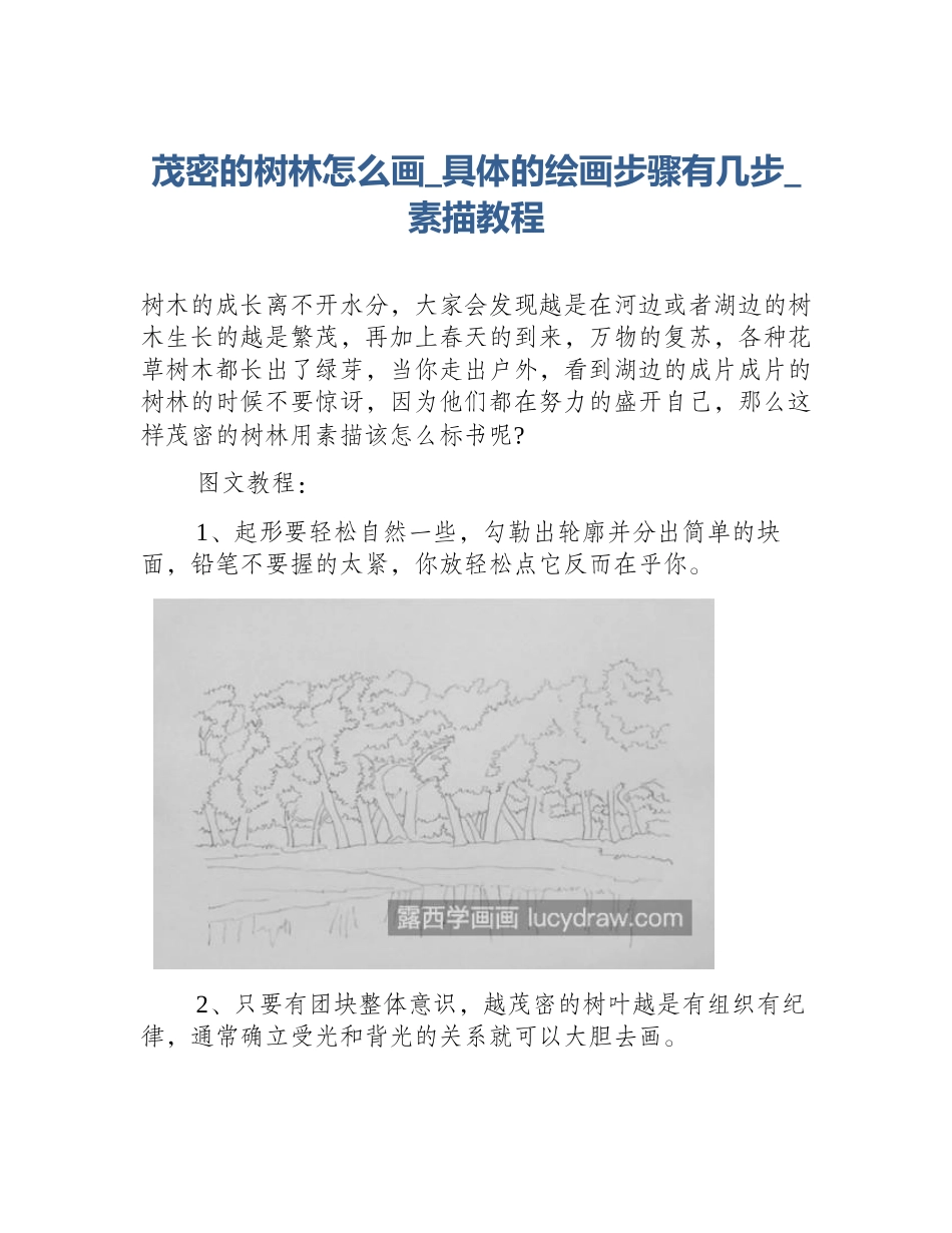茂密的树林怎么画_具体的绘画步骤有几步_素描教程_第1页