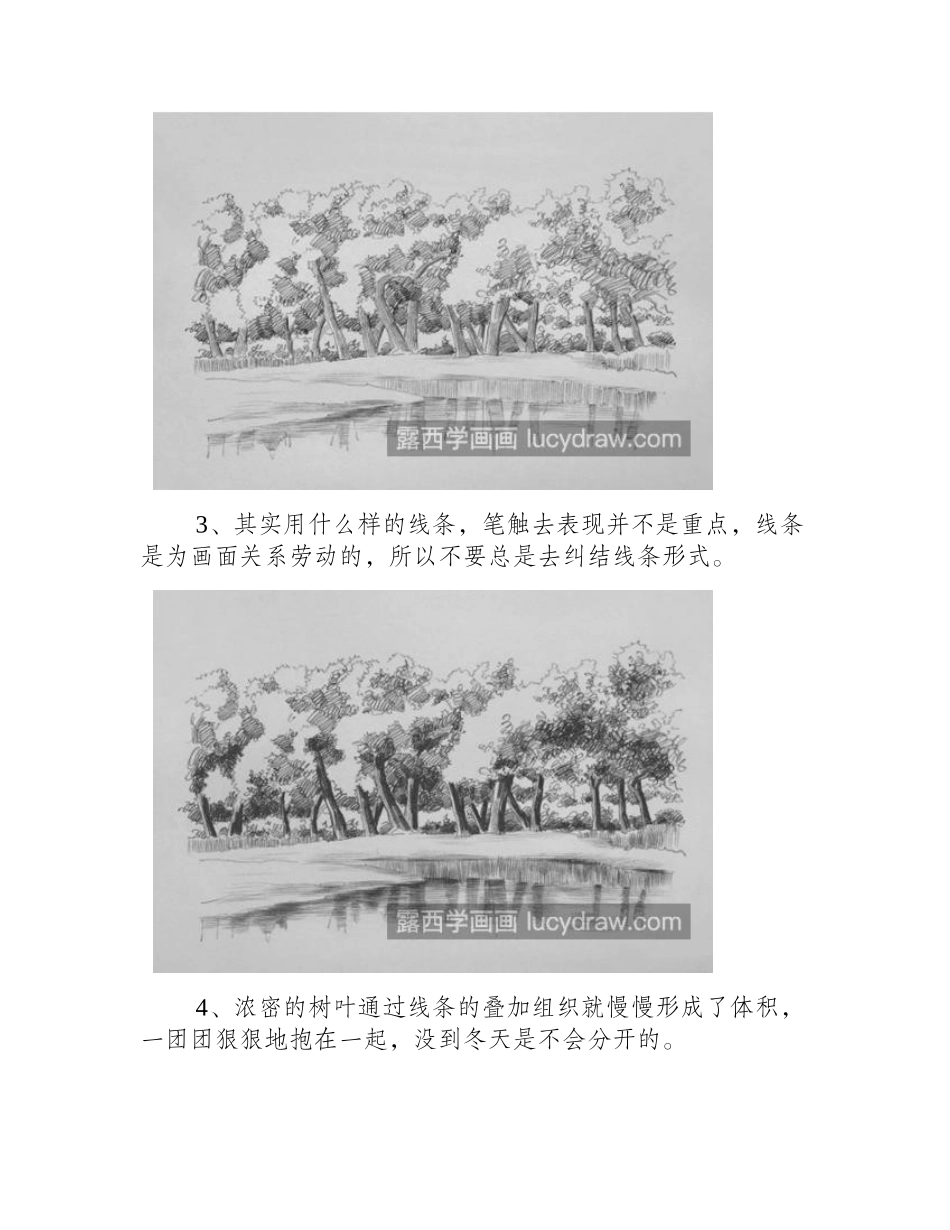 茂密的树林怎么画_具体的绘画步骤有几步_素描教程_第2页