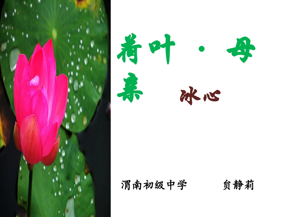 公开课（荷叶母亲）_第1页