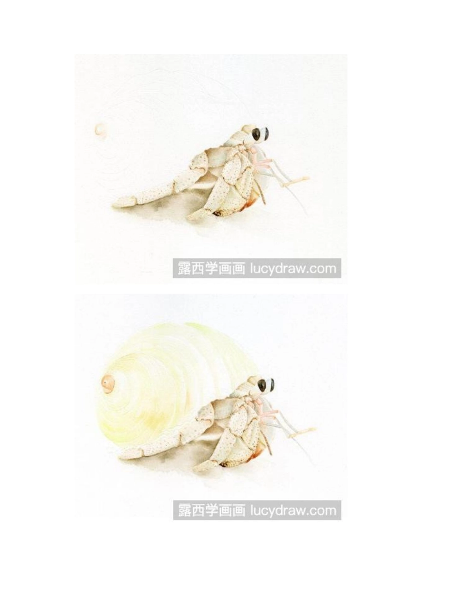可爱的寄居蟹水彩画怎么画_水彩画教程_第2页