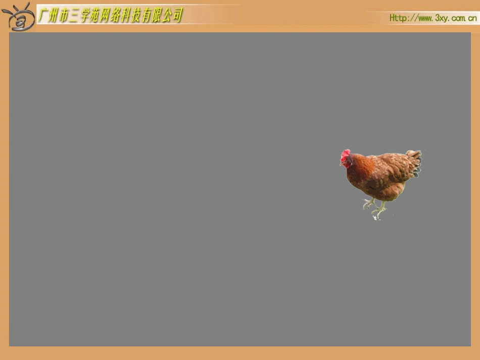 尝试与猜测二_第3页