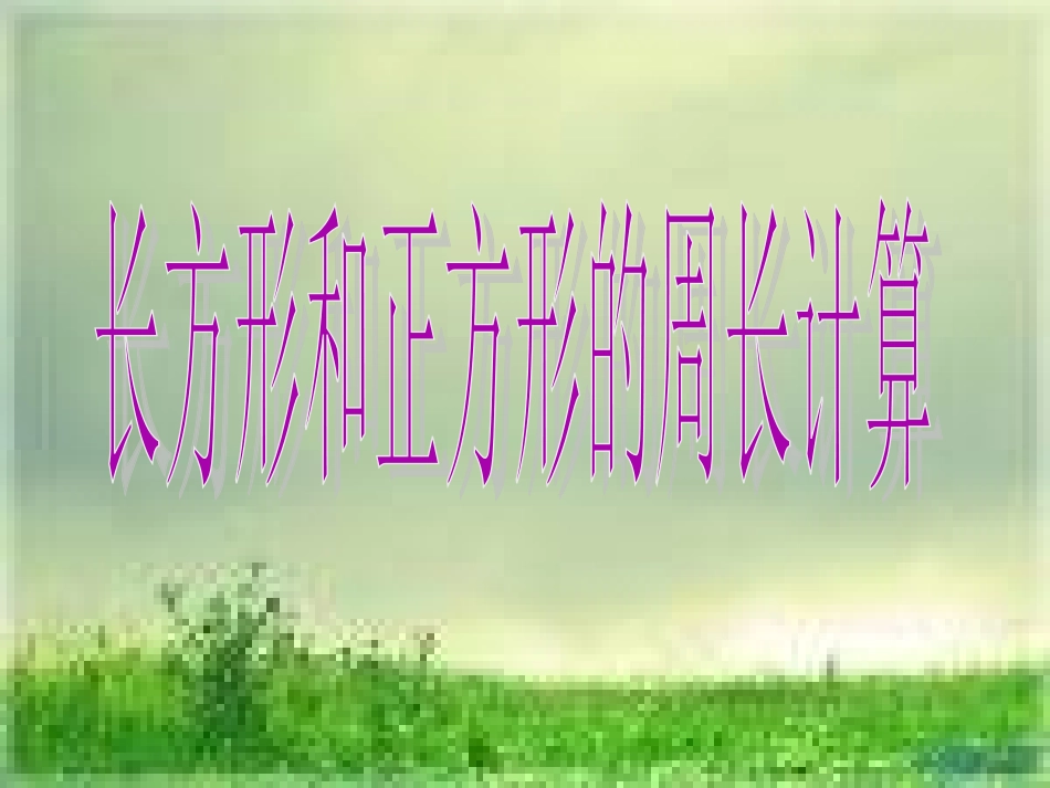 苏教版三年级上册《长方形和正方形的周长计算》_第1页