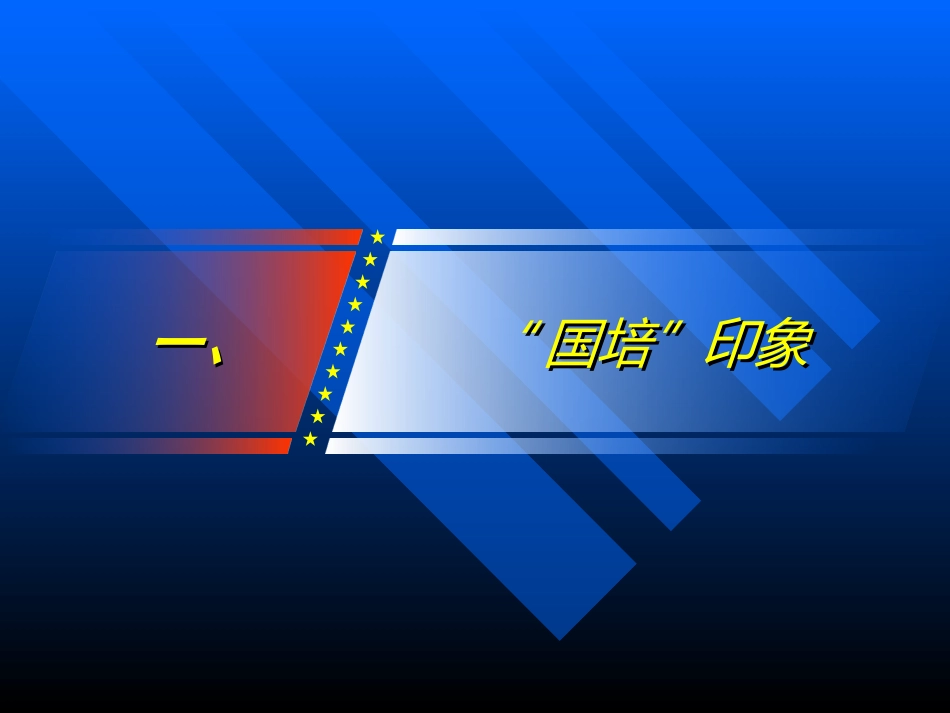 “国培”汇报（杨方）_第2页