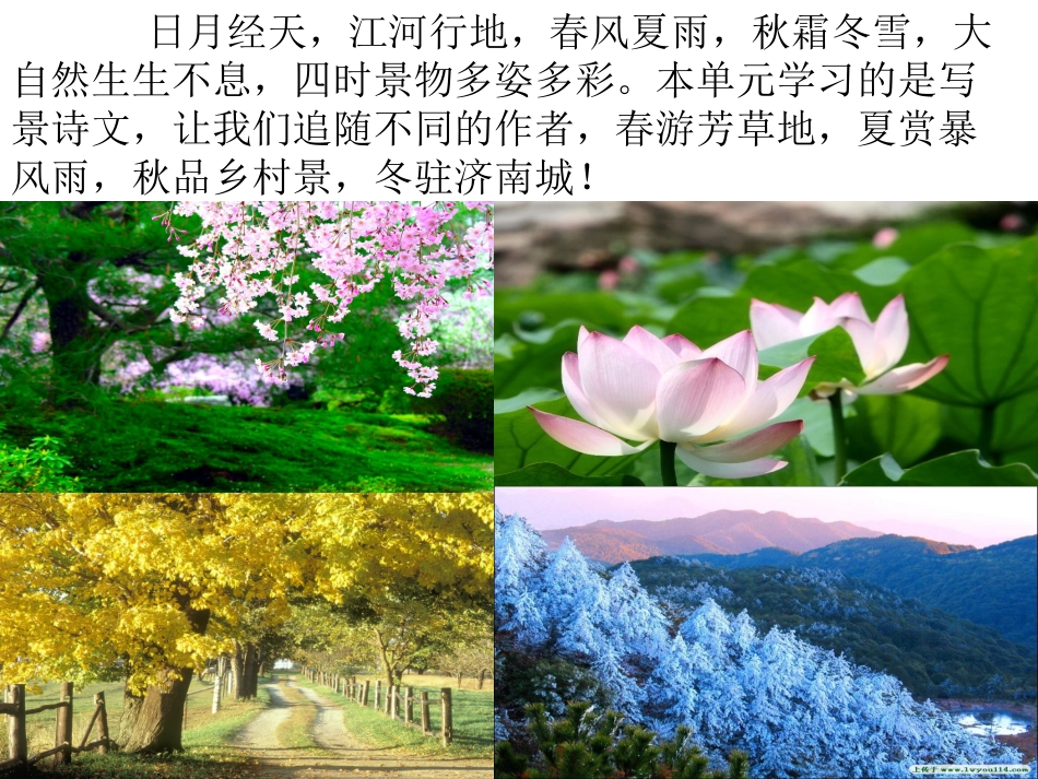 济南的冬天 (2)_第1页