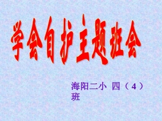 学会自护主题班会