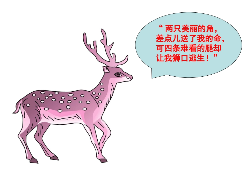 狮子和鹿课件cc_第1页