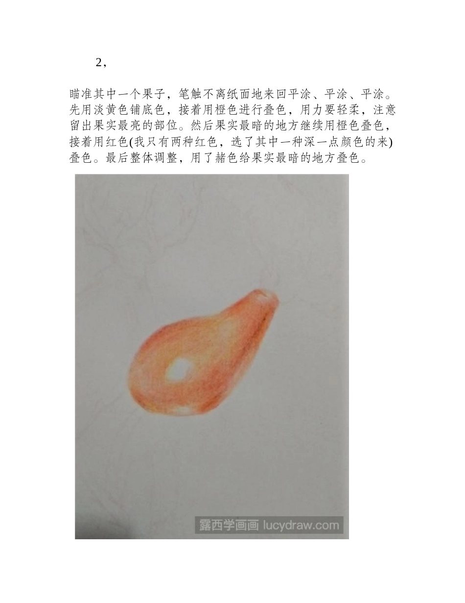 玫瑰果彩铅画教程彩铅画教程_第2页