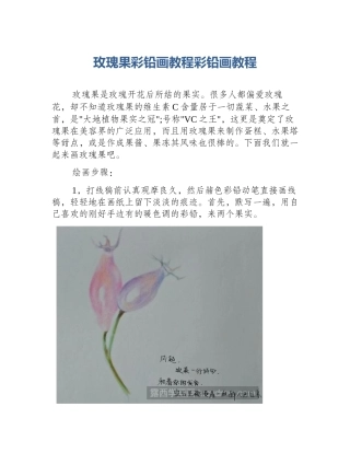 玫瑰果彩铅画教程彩铅画教程
