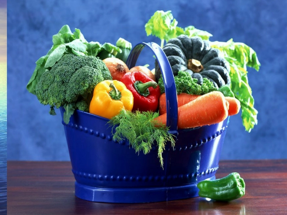 四年级上册语文《父亲的菜园》_第2页