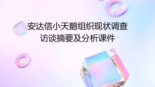 安达信小天鹅组织现状调查访谈摘要及分析课件