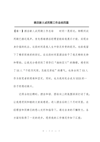 酒店新人试用期工作总结四篇