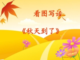 低年级看图写话《美丽的秋天》