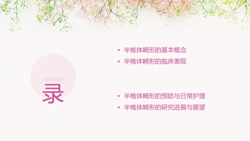 半椎体畸形概述课件_第2页