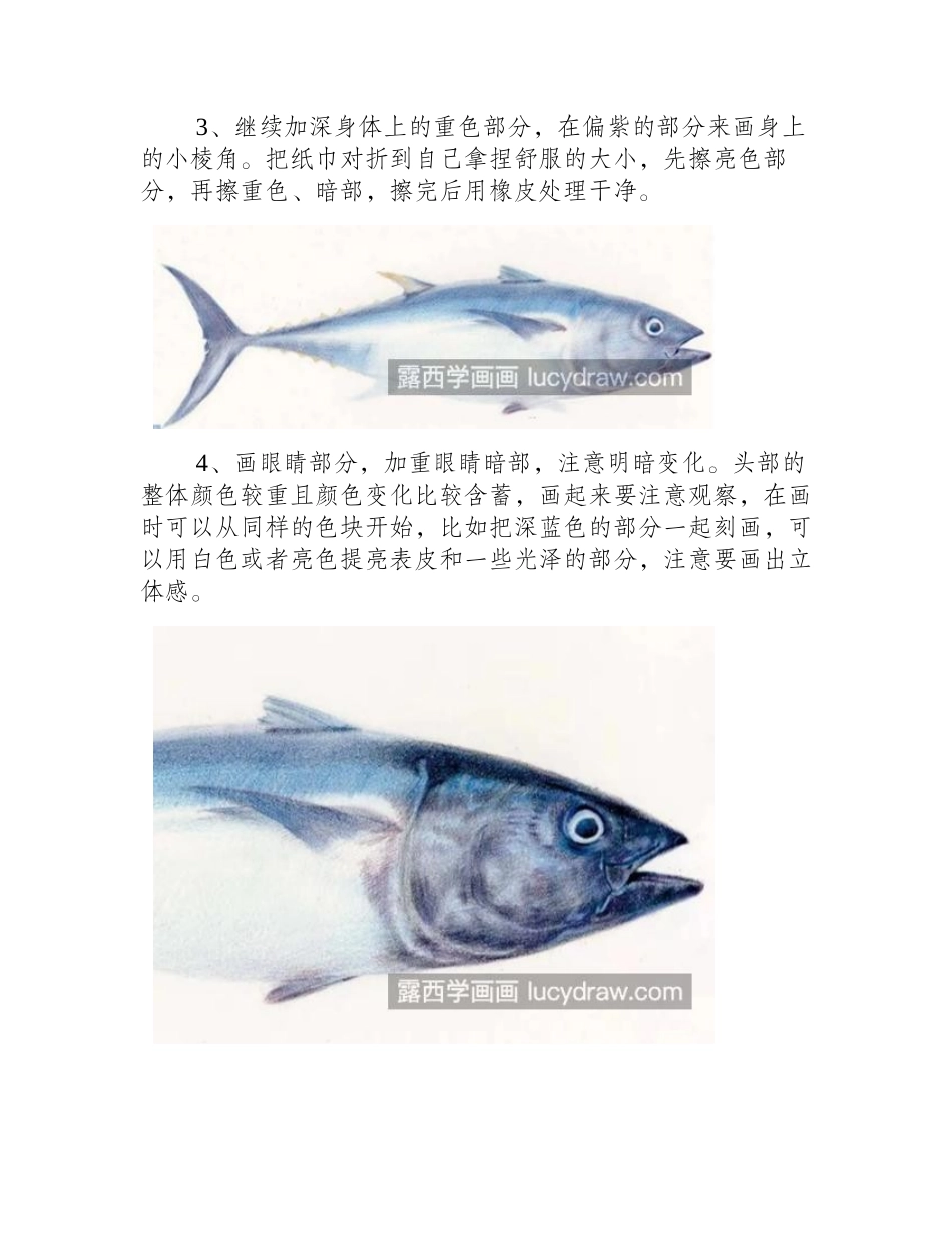 金枪鱼怎么画_有哪些绘画步骤_儿童画教程_第2页