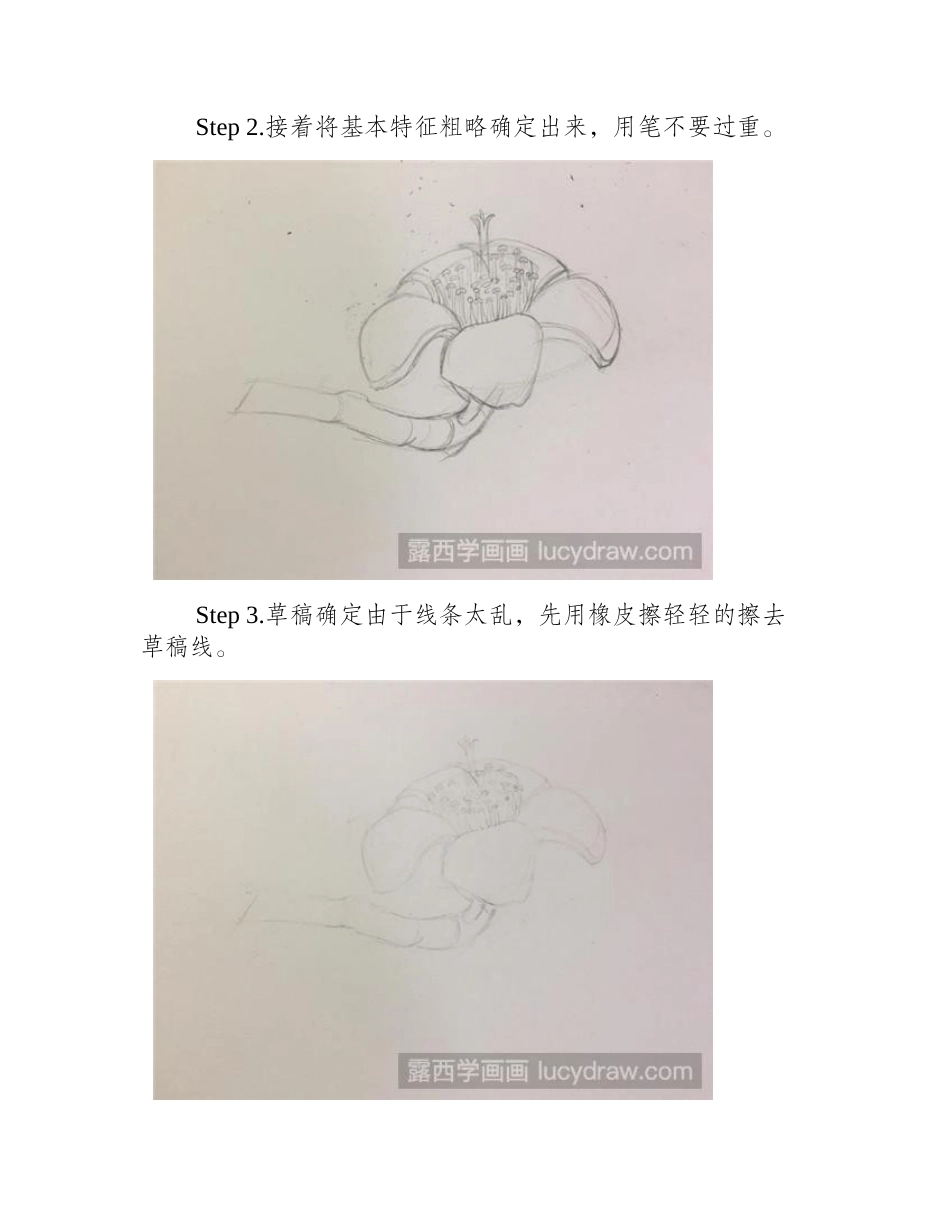木棉花彩铅画教程彩铅画教程_第2页