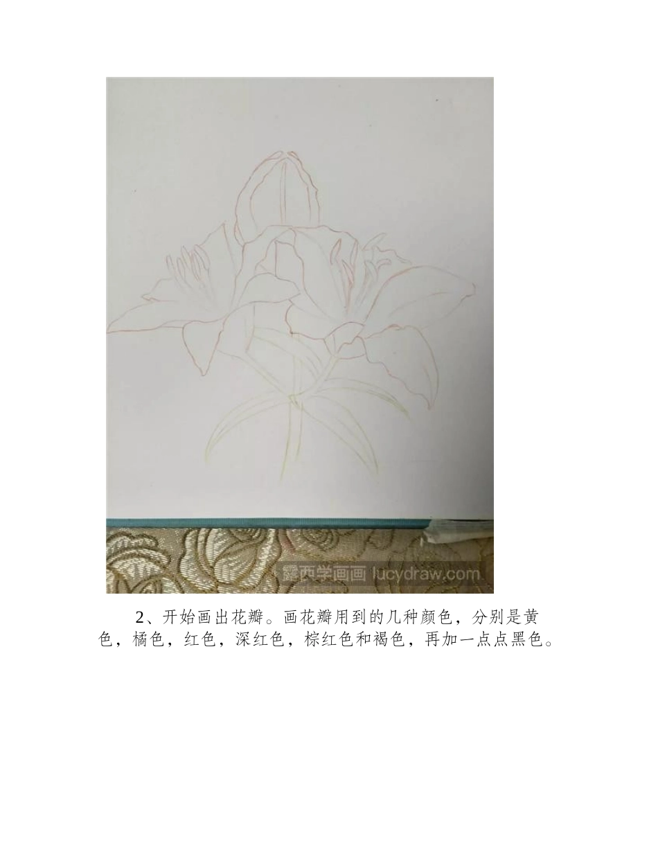 零基础学画画：怎么画黄花菜_彩铅画教程_第2页