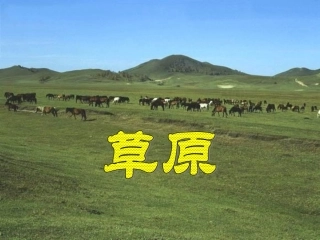 《草原》课堂演示课件