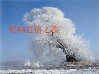 七年级上册第二课第三框唱响自信之歌教学课件