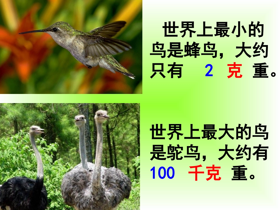张中上共青希望小学_郭玉萍_《克与千克》课件 (2)_第1页