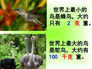 张中上共青希望小学_郭玉萍_《克与千克》课件 (2)