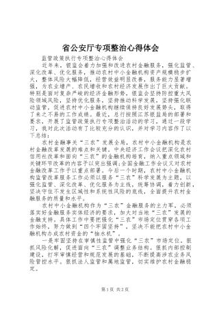 省公安厅专项整治心得体会 