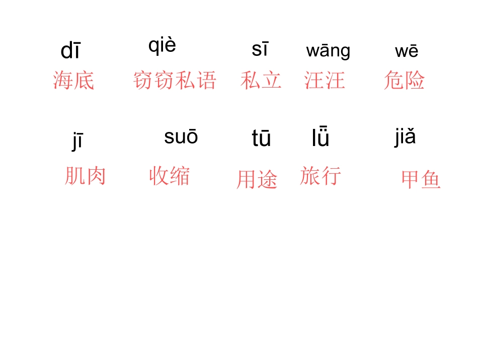《海底世界》课件_第3页