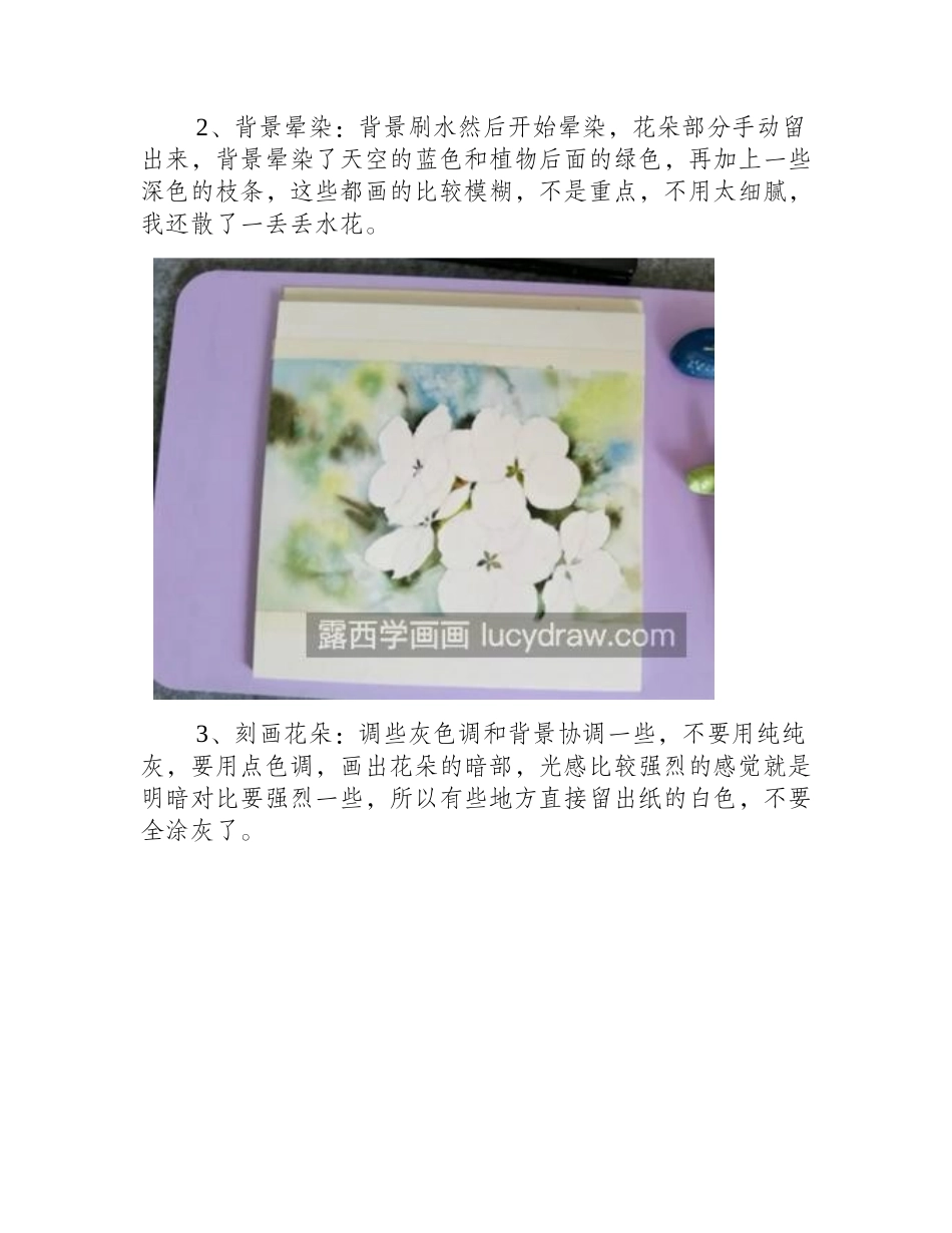 洁白的梨花怎么画_绘画流程是什么_水彩画教程_第2页