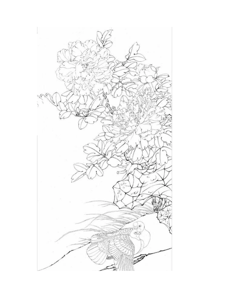 牡丹和鸽子怎么画_工笔画如何全景构图_工笔画教程_第2页