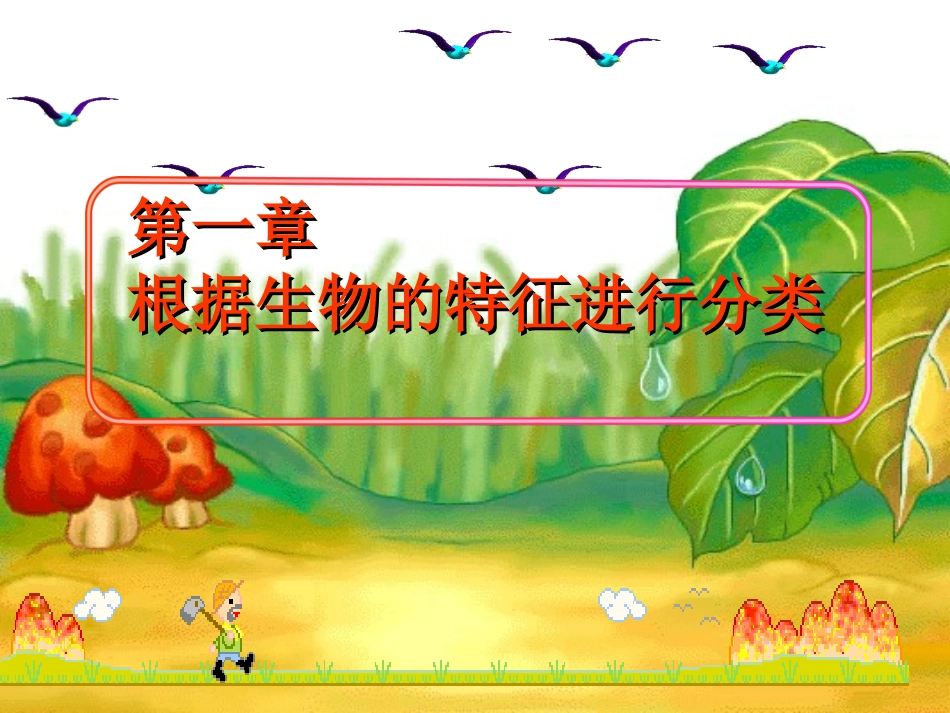 《尝试对生物进行分类》参考课件_第2页