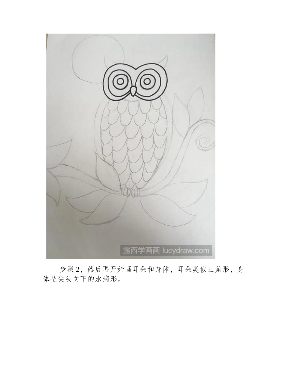 猫头鹰儿童画教程儿童画教程_第2页