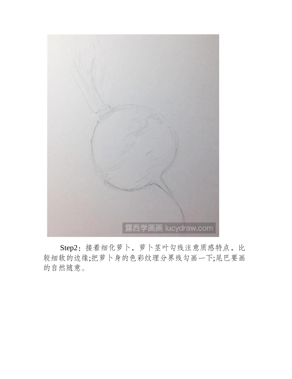 萝卜彩铅画教程彩铅画教程_第2页
